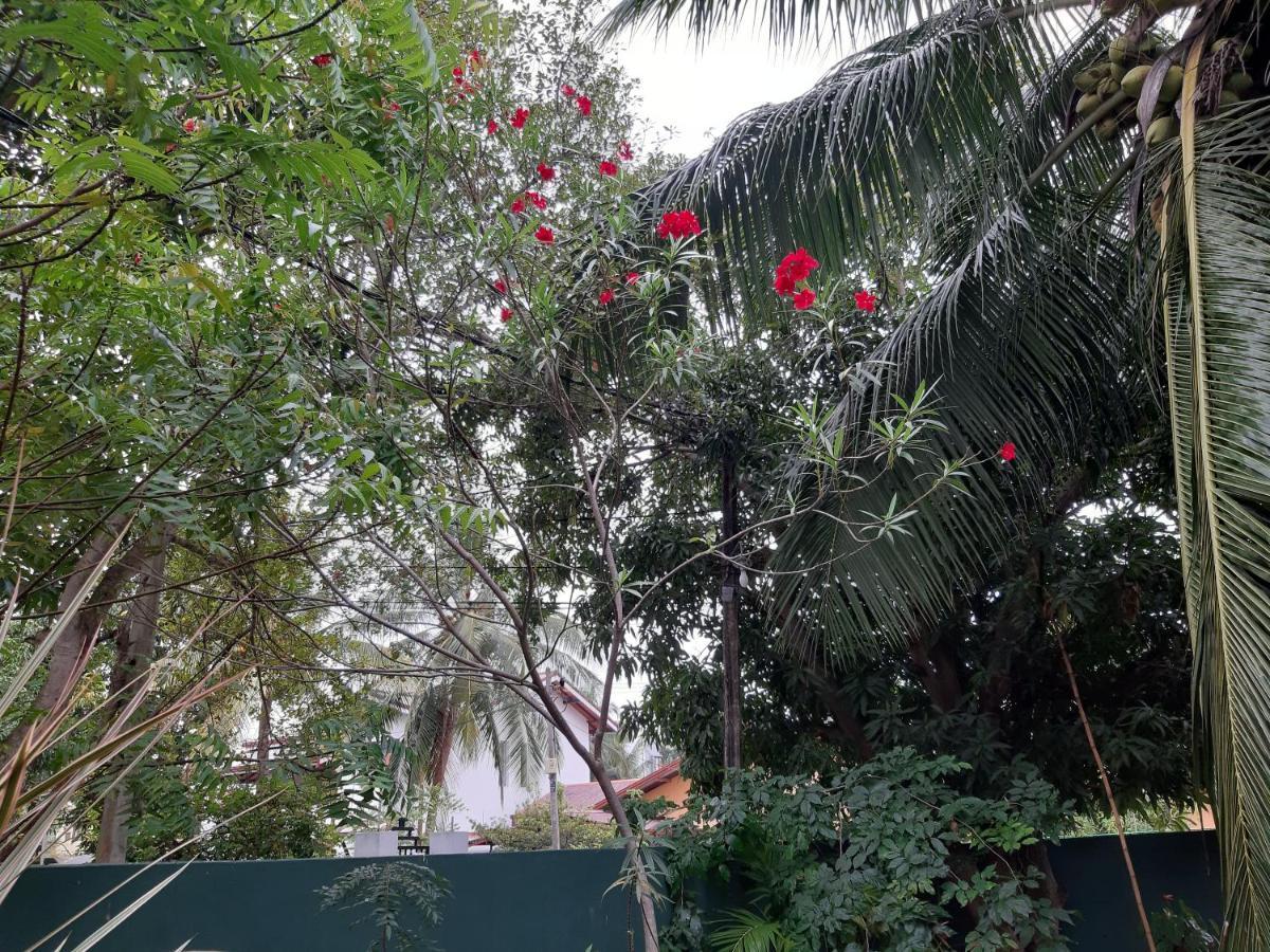 Hellen Homestay เนกอมโบ ภายนอก รูปภาพ