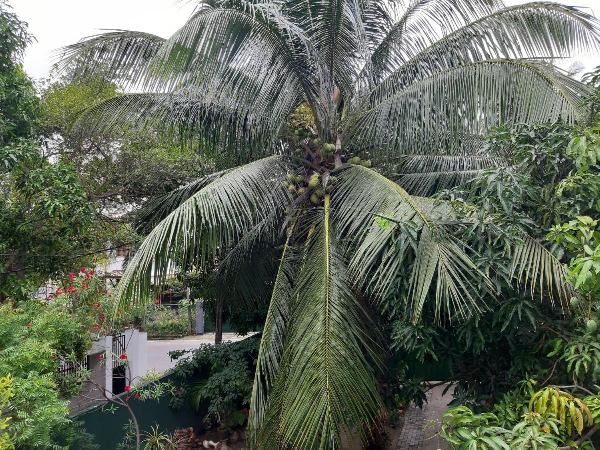 Hellen Homestay เนกอมโบ ภายนอก รูปภาพ